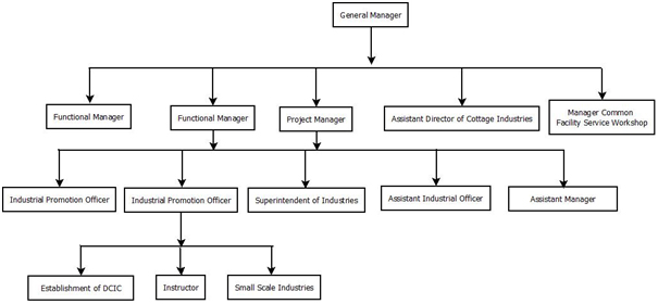 Organisational Structure at District Level